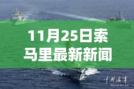 11月25日索馬里最新新聞概覽與步驟指南