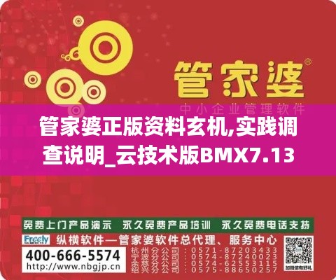 管家婆正版資料玄機,實踐調查說明_云技術版BMX7.13