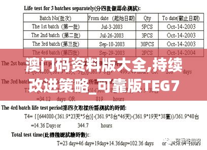 澳門碼資料版大全,持續(xù)改進策略_可靠版TEG7.2