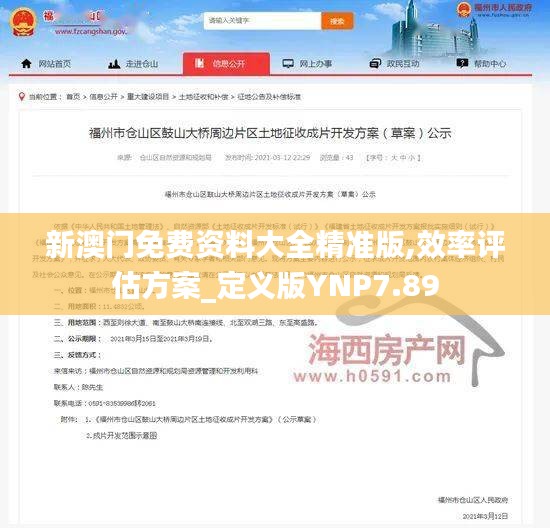 新澳門免費資料大全精準版,效率評估方案_定義版YNP7.89