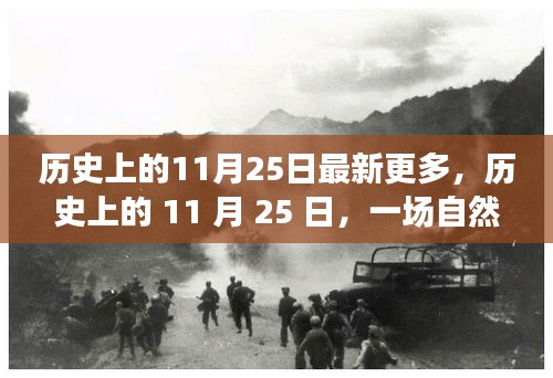 歷史上的11月25日，自然美景探險之旅，追尋內心的寧靜與平和