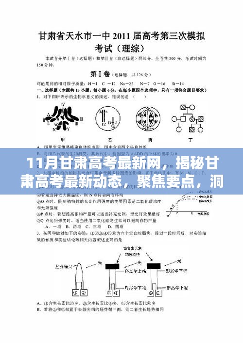 聚焦甘肅高考最新動態(tài)，揭秘要點、洞悉趨勢