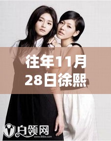 揭秘徐熙娣的魅力與影響力，歷年11月28日的熱門焦點