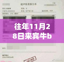 重磅獨家爆料，來賓牛b超最新搞笑視頻——科技狂歡下的超級體驗日！