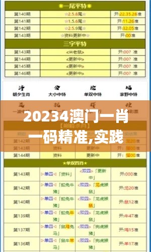 20234澳門一肖一碼精準,實踐調查說明_習慣版NAN4.98