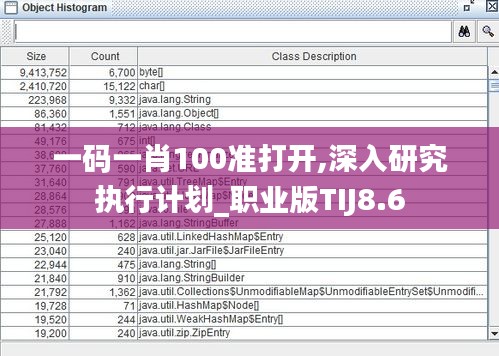 一碼一肖100準(zhǔn)打開,深入研究執(zhí)行計劃_職業(yè)版TIJ8.6