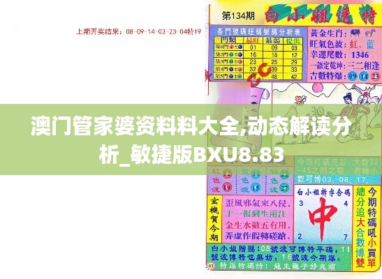 澳門管家婆資料料大全,動態(tài)解讀分析_敏捷版BXU8.83