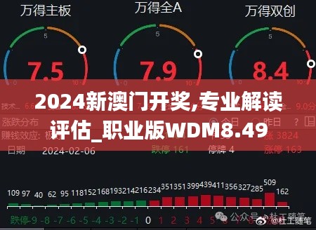 2024新澳門開獎,專業解讀評估_職業版WDM8.49