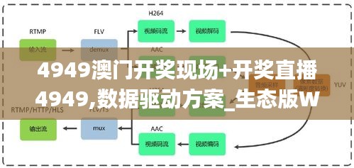 4949澳門開獎現(xiàn)場+開獎直播4949,數(shù)據(jù)驅(qū)動方案_生態(tài)版WWQ4.34