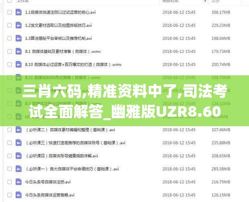 三肖六碼,精準(zhǔn)資料中了,司法考試全面解答_幽雅版UZR8.60
