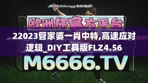 22023管家婆一肖中特,高速應對邏輯_DIY工具版FLZ4.56