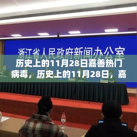 歷史上的11月28日嘉善熱門病毒全面評測與回顧