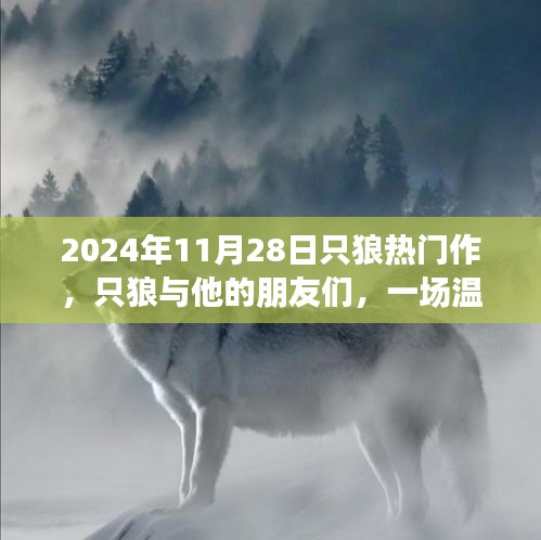 只狼與他的朋友們，一場溫馨的冒險之旅（2024年11月28日）