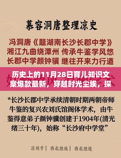 歷史上的11月28日育兒知識背后的故事，探尋育兒寶藏，揭秘爆款文案背后的故事。