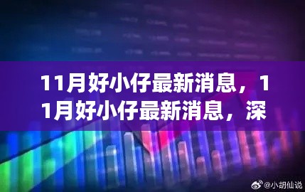 深度解讀與觀點闡述，11月好小仔最新消息