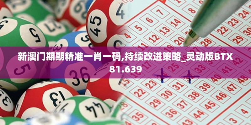 新澳門期期精準一肖一碼,持續改進策略_靈動版BTX81.639