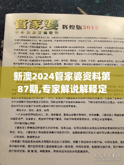新澳2024管家婆資料第87期,專家解說解釋定義_閃電版ULO39.125
