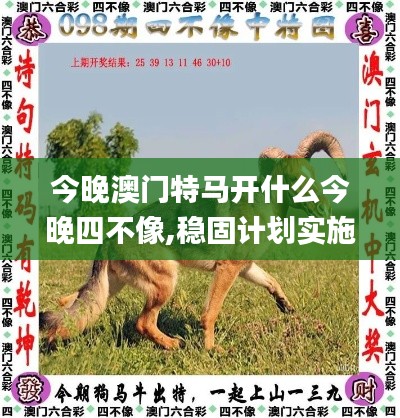今晚澳門特馬開什么今晚四不像,穩(wěn)固計劃實施_原創(chuàng)版FEJ77.222