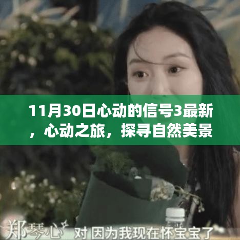 心動之旅，探尋自然美景的奇妙旅程（心動的信號3最新報道）