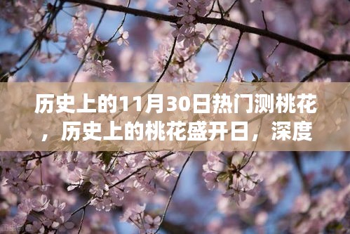 歷史上的桃花盛開日，深度解讀11月30日的情緣變遷與盛開日測桃花盛況