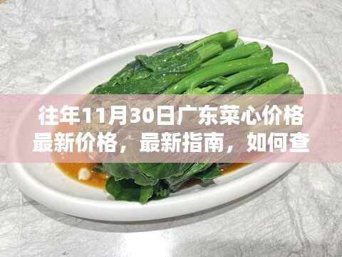 往年11月30日廣東菜心價格詳解，最新指南與查詢方法，適合初學者與進階用戶參考