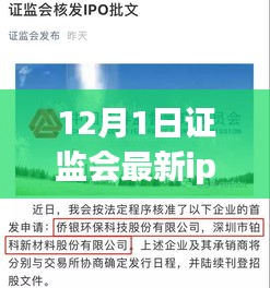 證監(jiān)會最新IPO名單揭曉，12月新紀(jì)元下的資本市場動態(tài)