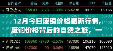 十二月廢銅價格最新動態，探尋背后的自然之旅與內心平靜之旅