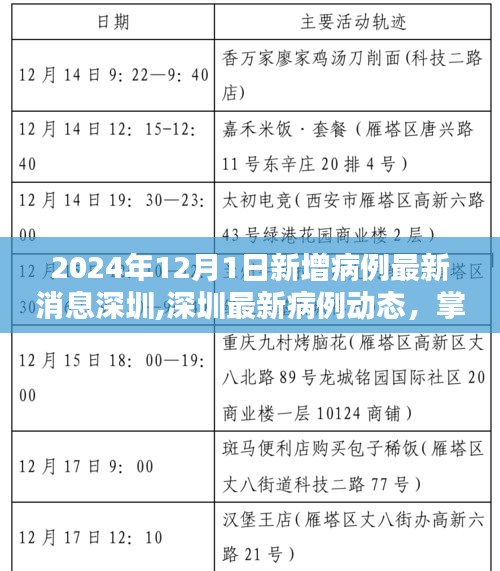 2024年深圳最新病例動態及應對策略，掌握新增病例查詢方法與應對技巧