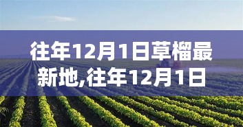 往年12月1日探訪草榴最新地，生態(tài)、科研與應(yīng)用價值深度探討