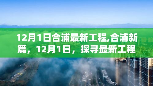 合浦新篇章，探尋最新工程之崛起（12月1日最新更新）