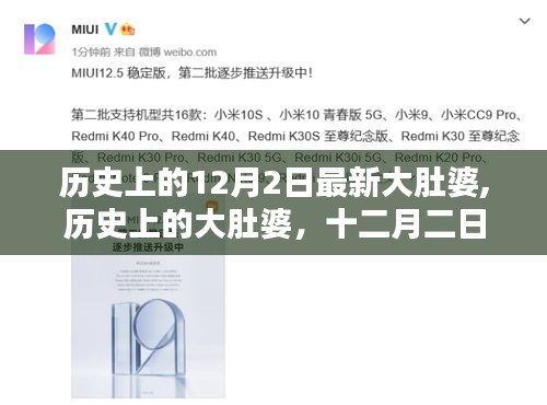 歷史上的大肚婆，回望與反思的十二月二日故事