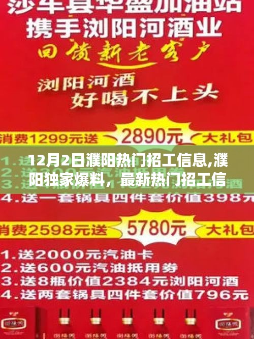 12月2日濮陽熱門招工信息速遞，獨家爆料與最新職位大盤點