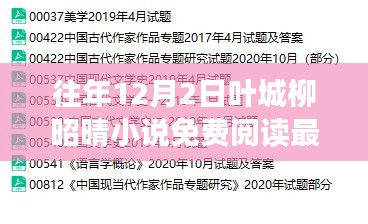 往年12月2日葉城柳昭晴小說免費閱讀，最新章節與精彩內容一網打盡