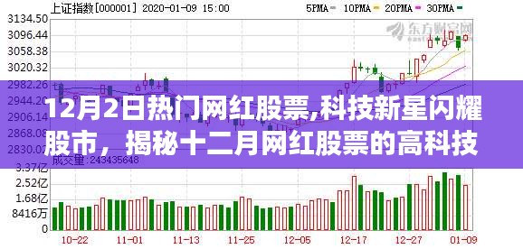 揭秘十二月科技新星網(wǎng)紅股票的魅力與閃耀股市之旅