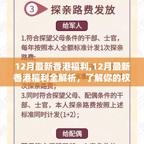 香港十二月福利全解析，保障權(quán)益，暢享生活