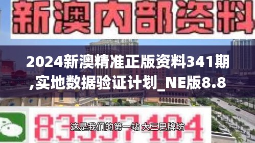 2024新澳精準(zhǔn)正版資料341期,實(shí)地數(shù)據(jù)驗(yàn)證計劃_NE版8.815