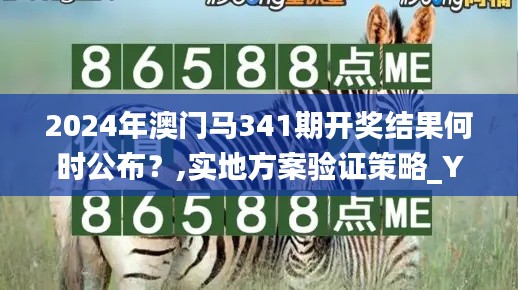 2024年澳門馬341期開獎(jiǎng)結(jié)果何時(shí)公布？,實(shí)地方案驗(yàn)證策略_YE版3.263