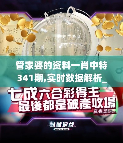 管家婆的資料一肖中特341期,實時數(shù)據(jù)解析_復古款4.582