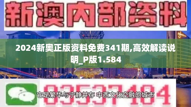 2024新奧正版資料免費(fèi)341期,高效解讀說(shuō)明_P版1.584
