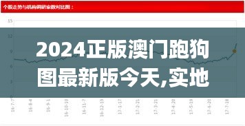 2024正版澳門(mén)跑狗圖最新版今天,實(shí)地應(yīng)用驗(yàn)證數(shù)據(jù)_Chromebook4.340
