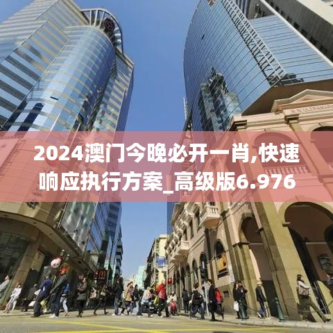 2024澳門(mén)今晚必開(kāi)一肖,快速響應(yīng)執(zhí)行方案_高級(jí)版6.976