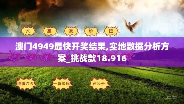 澳門(mén)4949最快開(kāi)獎(jiǎng)結(jié)果,實(shí)地?cái)?shù)據(jù)分析方案_挑戰(zhàn)款18.916