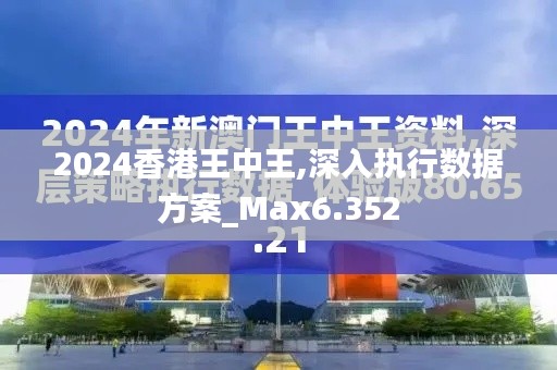 2024香港王中王,深入執行數據方案_Max6.352