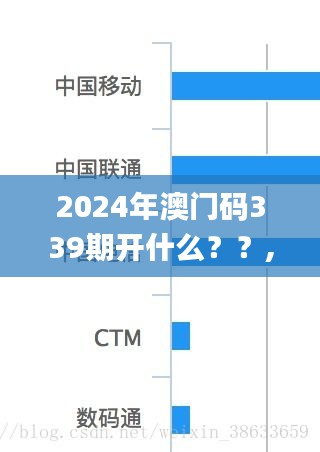 2024年澳門碼339期開什么？？,數據導向解析計劃_網紅版2.449
