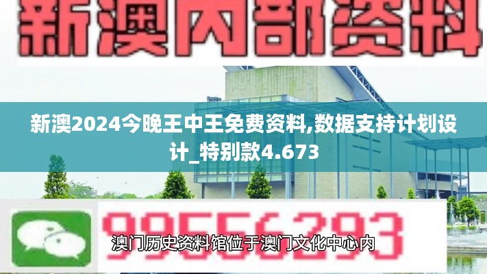 新澳2024今晚王中王免費資料,數據支持計劃設計_特別款4.673