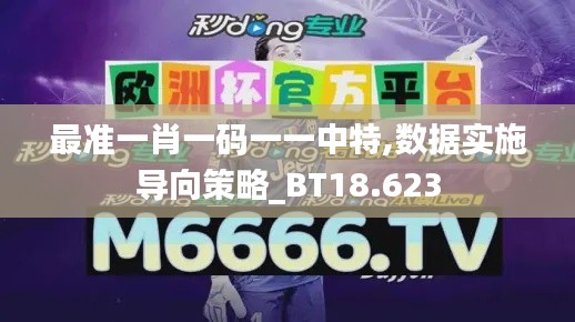 最準一肖一碼一一中特,數據實施導向策略_BT18.623