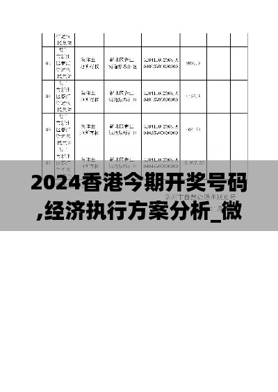經(jīng)濟(jì)執(zhí)行方案分析