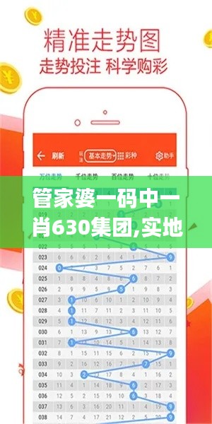 管家婆一碼中一肖630集團(tuán),實(shí)地?cái)?shù)據(jù)驗(yàn)證分析_進(jìn)階版11.219