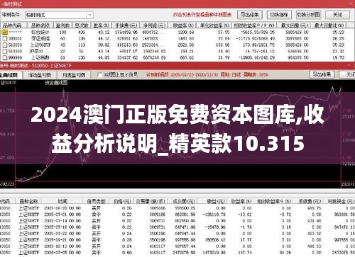 2024澳門正版免費(fèi)資本圖庫(kù),收益分析說明_精英款10.315