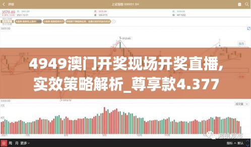 4949澳門開獎現(xiàn)場開獎直播,實(shí)效策略解析_尊享款4.377